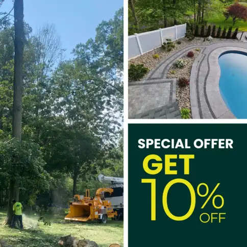 Image by N&Y Landscaping